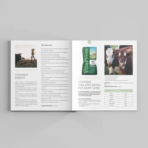 Catalogue Design